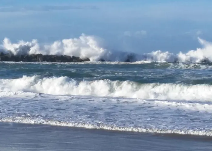 阿蒂西吉膳食公寓 *