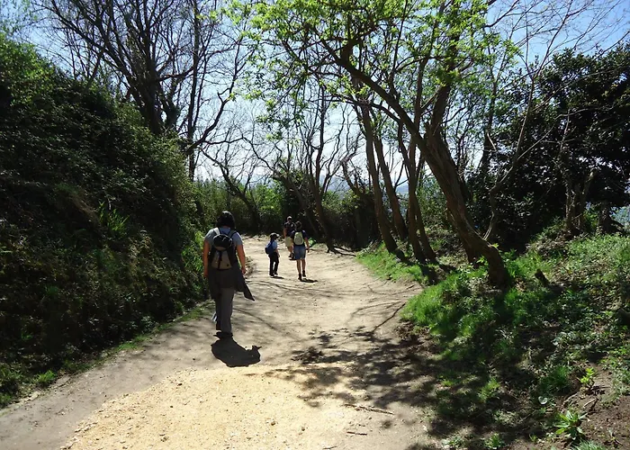 阿蒂西吉膳食公寓